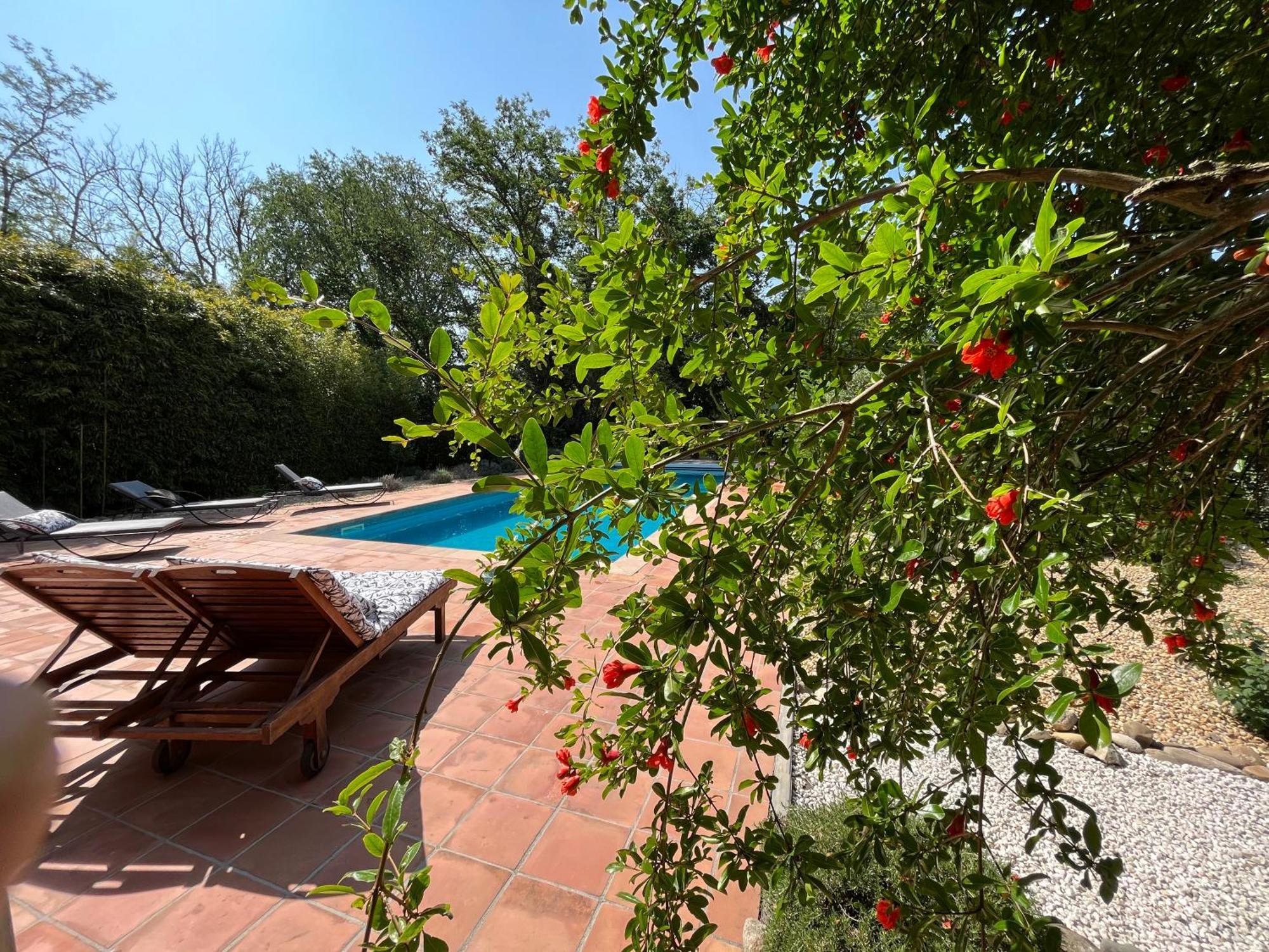 Chateau De Roquelune Pézenas Esterno foto